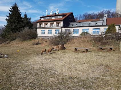 Berggasthof Zum Steira ショッテン エクステリア 写真